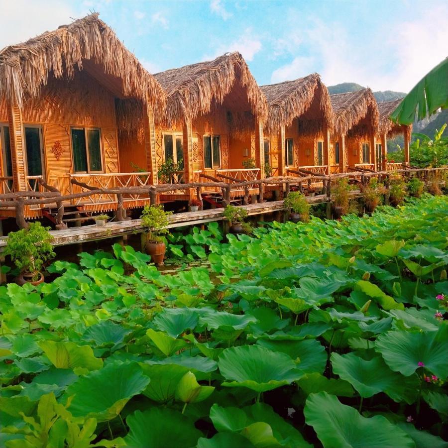 Hang Mua Lotus Homestay Ninh Bình Ngoại thất bức ảnh