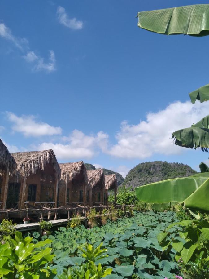 Hang Mua Lotus Homestay Ninh Bình Ngoại thất bức ảnh