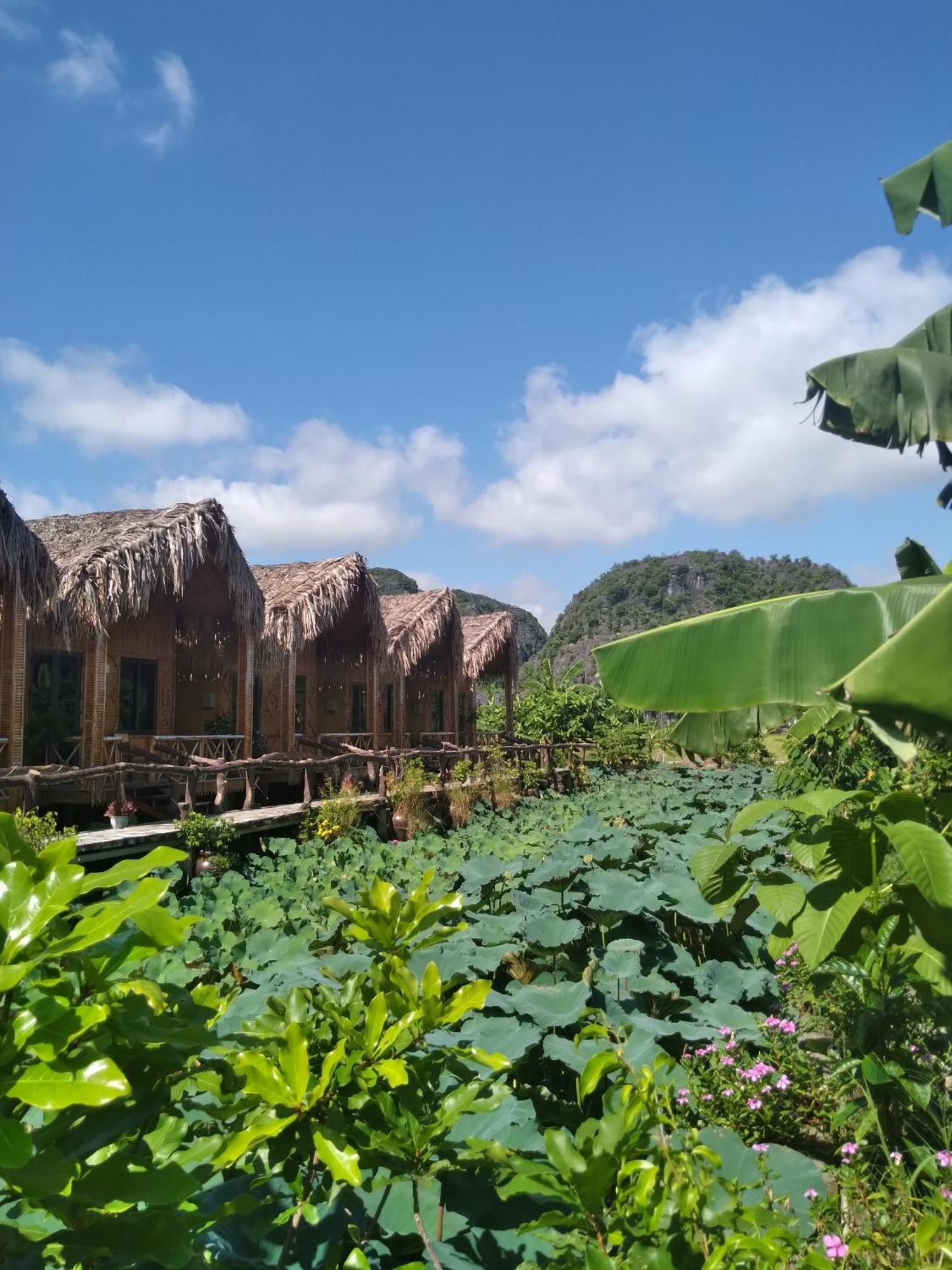Hang Mua Lotus Homestay Ninh Bình Ngoại thất bức ảnh